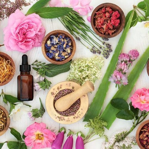 Bach Flower Therapy in Delhi Natural Emotional Healing Clinic Dr Radhika Healing & Wellness Center in Delhi